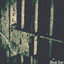 Cage cover