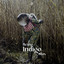 Being Indigo