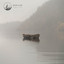 Absorbed Waves cover