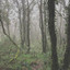 36º01´52¨N