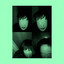 Unknown Title cover