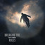 Breaking The Rules cover