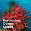 Fascinating Ocean Musics cover