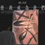 8lak 張鈞 - Journey to us