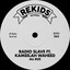 Radio Slave — All Rize (feat. Kameelah Waheed) [Boogie Vice & N-You-Up Olympico Dub] cover art