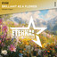 Brilliant as a Flower - Extended Mix