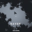 RAVEN cover