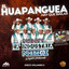 Molinos de Viento Huapango cover