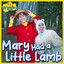 The Wiggles - Mary Had A Little Lamb