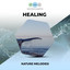 Healing Nature Melodies cover