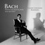 V. Chaconne (Partita nr.2 in D minor bwv.1004) cover