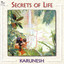 Karunesh - Eagles Flight