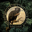 William Arist — Fear in the Jungle ((Album Mix)) cover art