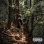 SIN cover