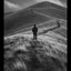 THE REBELLIONS - FORGOTTEN