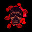 . - DAVE Artist ID - Cage the Ele - Beaches in Tene