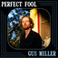 Perfect Fool cover