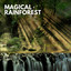 Magical Rainforest cover