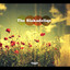 The Other Side of Tomorrow cover