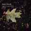 Rain Music: Dreamy Drops Vol. 1 cover