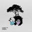 Remedy cover