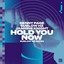 Hold You Now - SubLow Hz Remix artwork