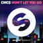 Won't Let You Go - Extended Mix