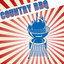 Country BBQ cover