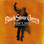 Black Stone Cherry, Tyler Connolly and Theory Of A Deadman - Don’t You (Forget About Me) (feat. Tyler Connolly of Theory Of A Deadman)