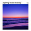 Aspiring Ocean Scenery cover
