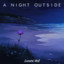 A Night Outside