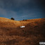 Time Away cover