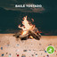 Baile Tostado cover
