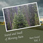 Rain Sound: Sound and Smell of Morning Rain Vol. 2 cover