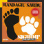 Sighimì cover