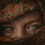 Desert Rose cover
