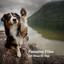 Pawsitive Vibes: Lofi Music for Dogs cover