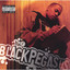 Black Pegasus cover