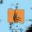 The Meaning of Shame cover
