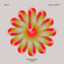 Song album cover