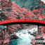 Yomi cover