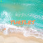 Turtles cover