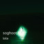 soghoot