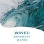 Waves: Branbury Water cover