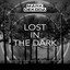 Lost in the Dark