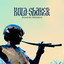 Pilgrims Progress cover