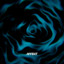 Notti Insonni — Obfuscation (Original Mix) cover art