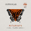 Metamorfo