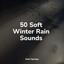 50 Soft Winter Rain Sounds cover