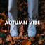 Autumn Vibe cover